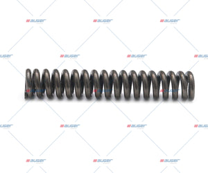Spring, Input Shaft - Fits Universal