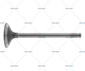 Intake Valve - LCV