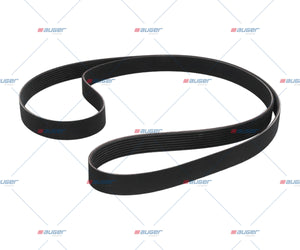 Multiribbed Belt, Fan - LCV