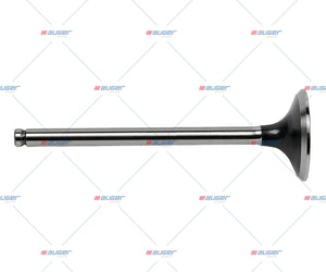 Intake Valve - LCV