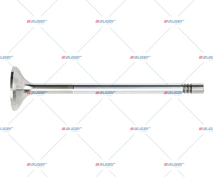 Intake Valve - LCV