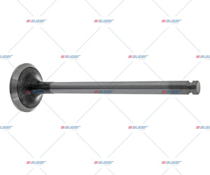 Exhaust Valve - LCV