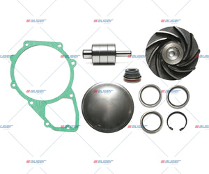 Repair Kit, Water Pump - Fits Universal