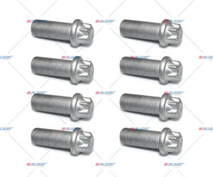Repair Kit, Brake Caliper - Fits Universal