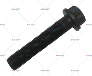 Screw, Compressor - Fits Universal