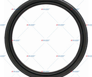 Seal Ring, Spring - Fits Universal