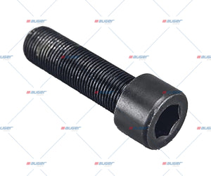 Screw, Differential - Fits Scania