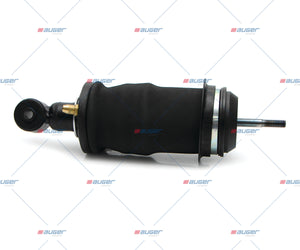 Air Bellow, With Shock Absorber, Cab - Fits Scania