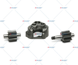 Repair Kit, Oil Pump - Fits Universal
