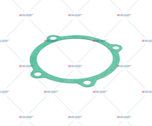 Gasket, Input Shaft - Fits Scania