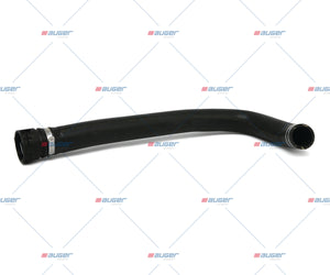 Hose, Radiator - LCV