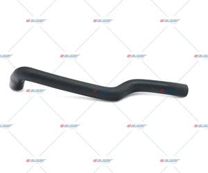 Hose, Radiator - LCV